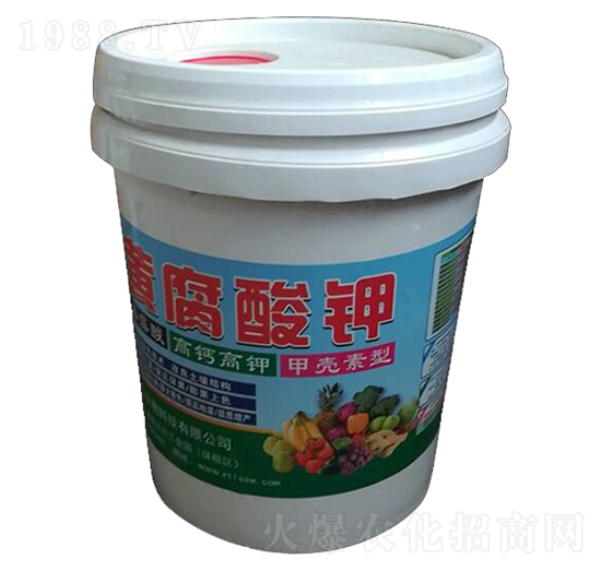 �S�����-��������