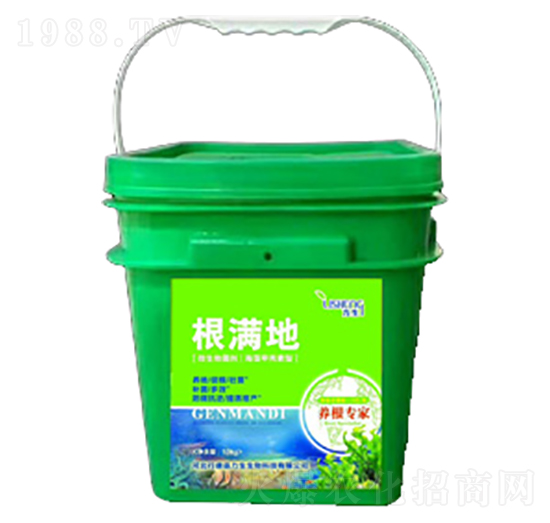 ���M��-��������