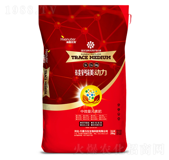 ���}�V����-��������