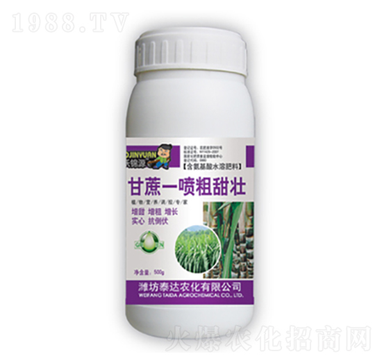 ����һ��������-̩�_(d��)�r(n��ng)��