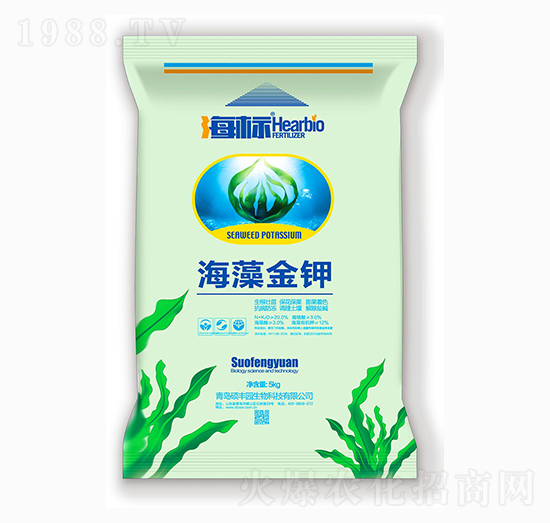 ������-�T�S�@