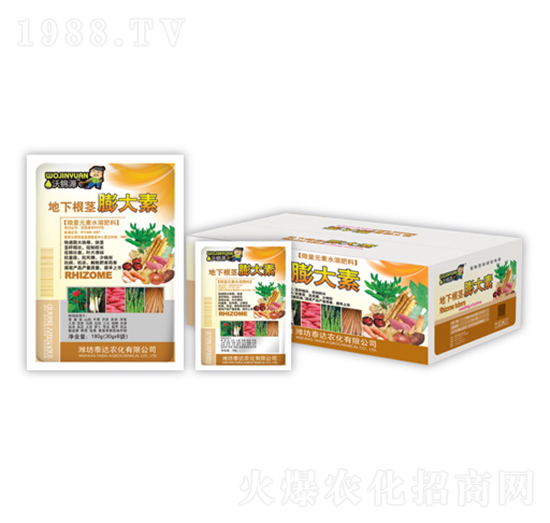 ���¸��o�����-̩�_�r��