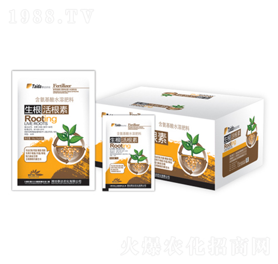 ���������-̩�_�r��