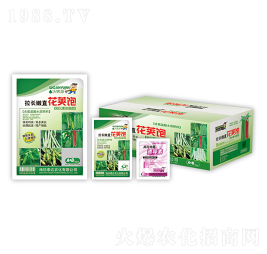 ���L��ֱ���v�-̩�_�r��