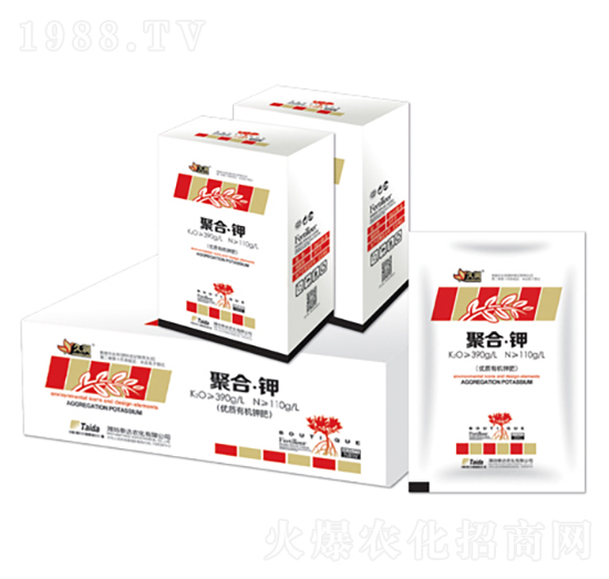 �ۺ�⛣��У�-̩�_�r(n��ng)��