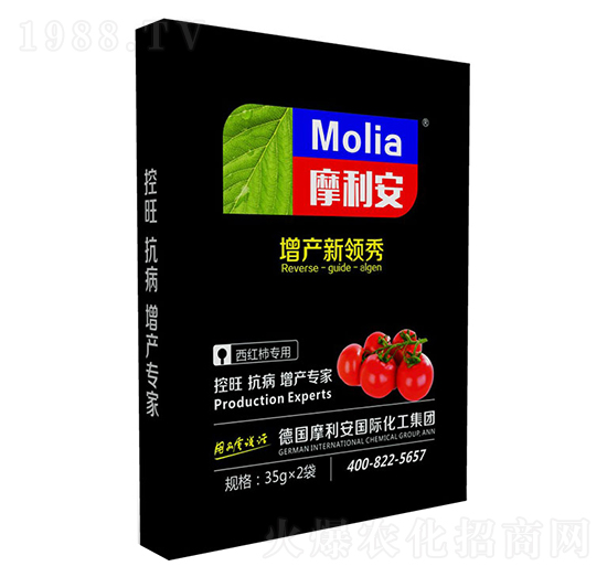 ���t������-Ħ����