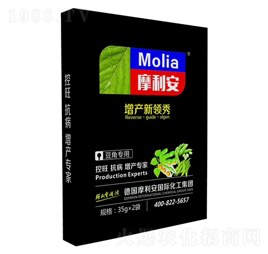 ���ǌ���-Ħ����