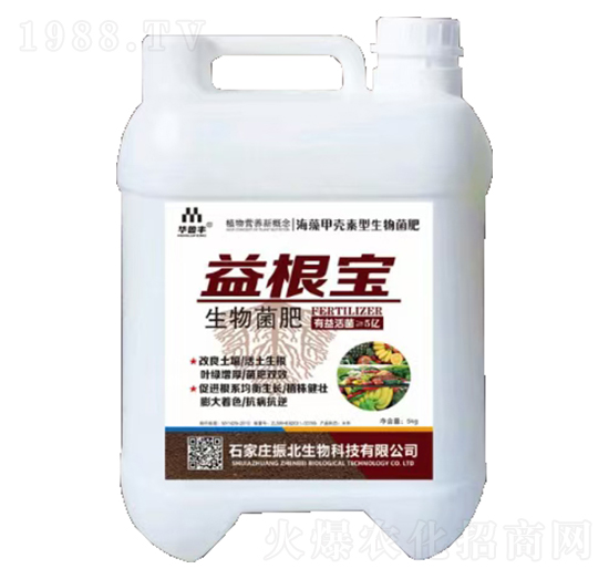 �������-�����-������