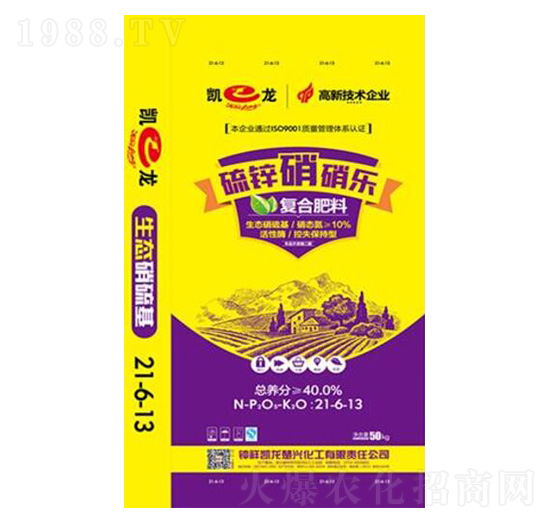 ����������ͺϷ���21-6-13-���\������-�P������