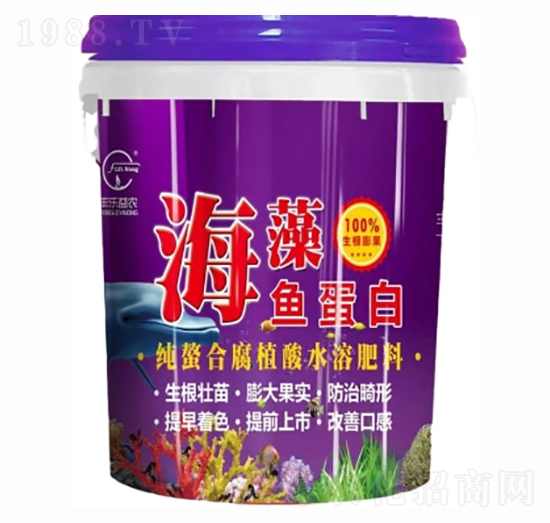 �����~(y��)����-�S��(l��)���r(n��ng)