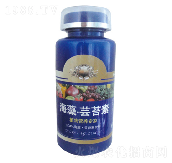 �����|̦��-�κ��r(n��ng)�I(y��)