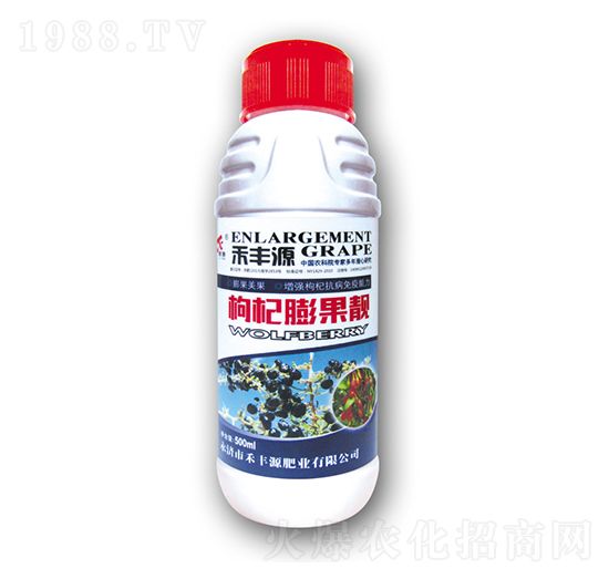 �������n-���SԴ�ʘI(y��)