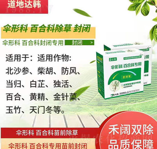 ���οưٺϳ��݄�-���ΰٺϿ���ǰ-���οưٺϿƷ��]��(zhu��n)��-���n