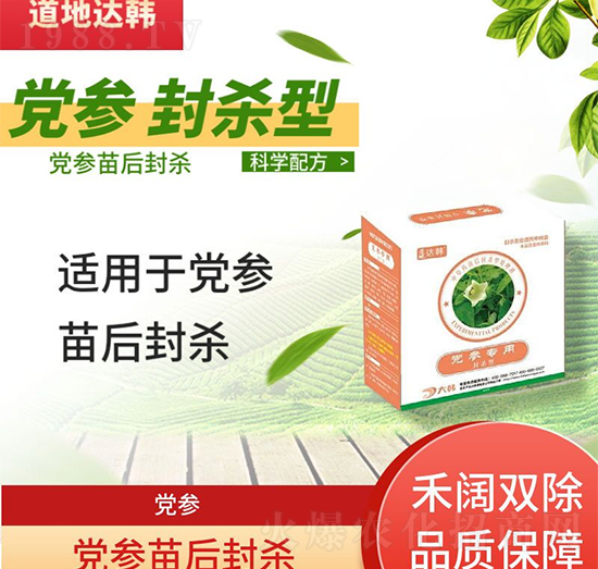 �h�����݄�-�h�����-�h������-���n