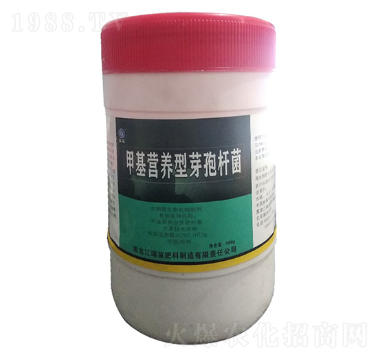 500g�׻��I�B(y��ng)��ѿ�ߗU��-����