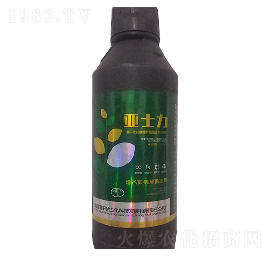 ��ʿ��-����