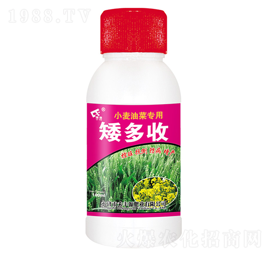 С���Ͳ˰�����-���SԴ�ʘI(y��)