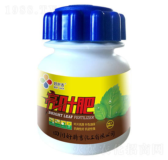 ���~��-�Õr(sh��)��