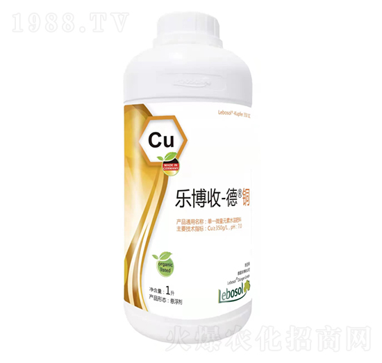 ������-���~-����