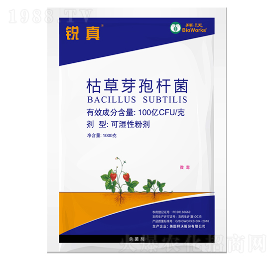 �J��ݲ�ѿ�ߗU���������ͣ�-����