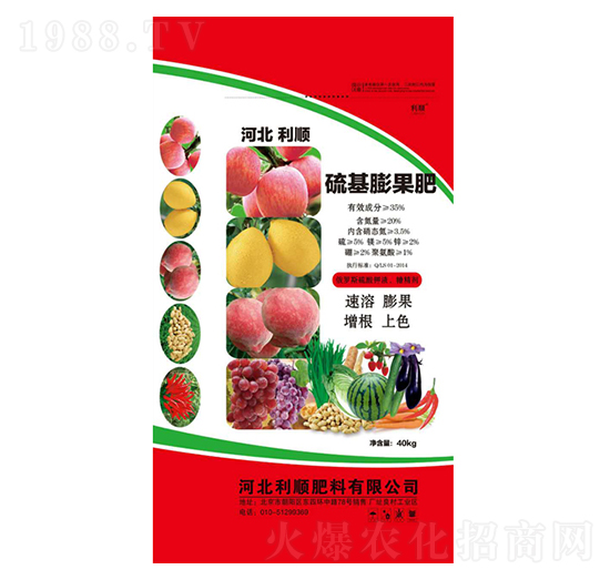 ��������-�ӱ����