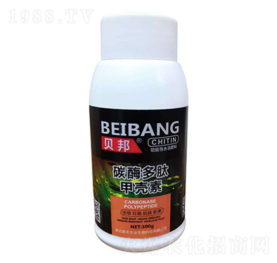 ̼ø���ļך���-�κ��r�I(y��)