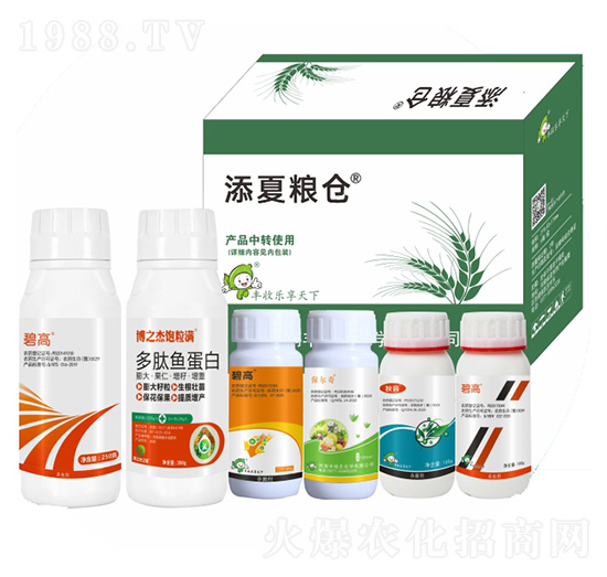 ���ļZ�}��ʮ���أ�-�S�՘�