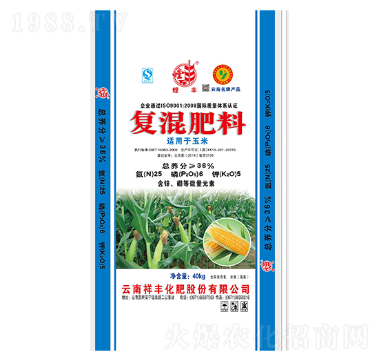 ���׌��Ì��Ïͻ����25-6-5-���S