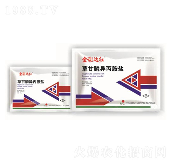 50%�ݸ�좮����@�}-�����_�t-����ꖹ�