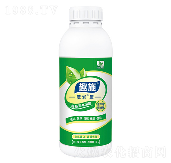 ħ����-����