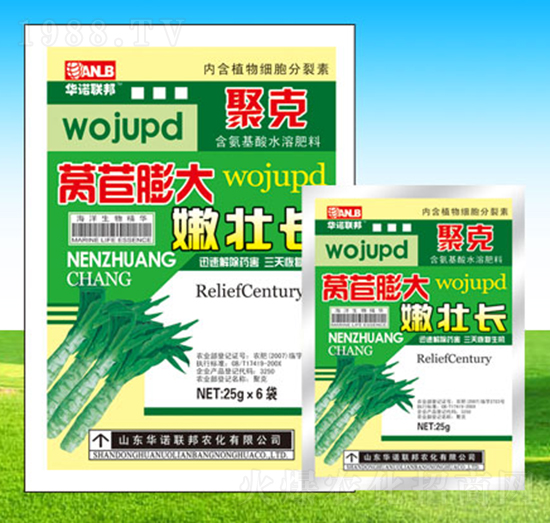 �n������ۉ��L-�A�Z(li��n)��