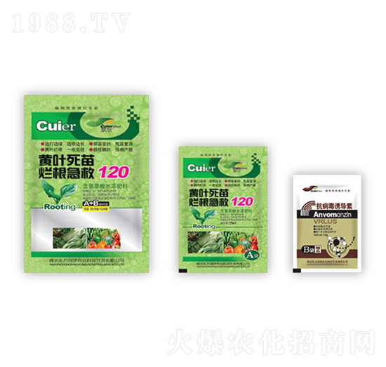 �S�~���砀������120+�������T����-�|������