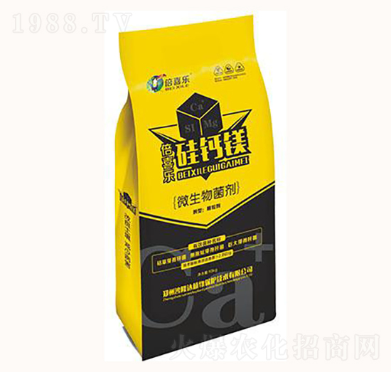 ΢�������-��ϲ��(l��)���}�V-ɳ¡�_(d��)