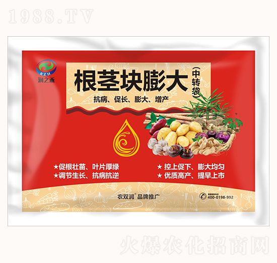 ���o�K���-��֥��