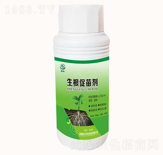 �������焩-��֥��