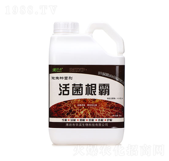 �������-�A�I