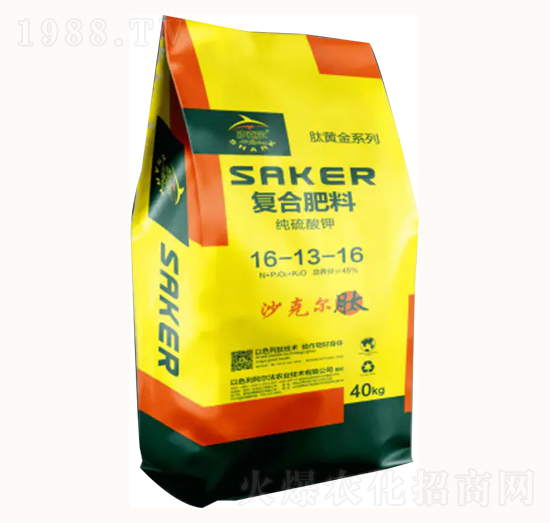 �������16-13-16-�������r�I(y��)