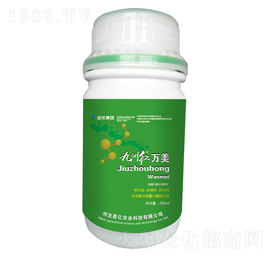 ���޼t�f��-�{(l��n)������