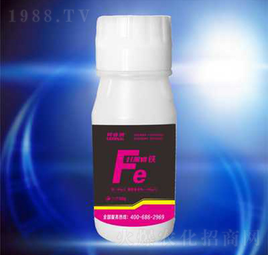 �Ǵ��F-��{