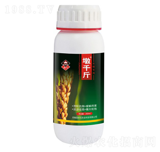 ��ǧ��-���Ԫ