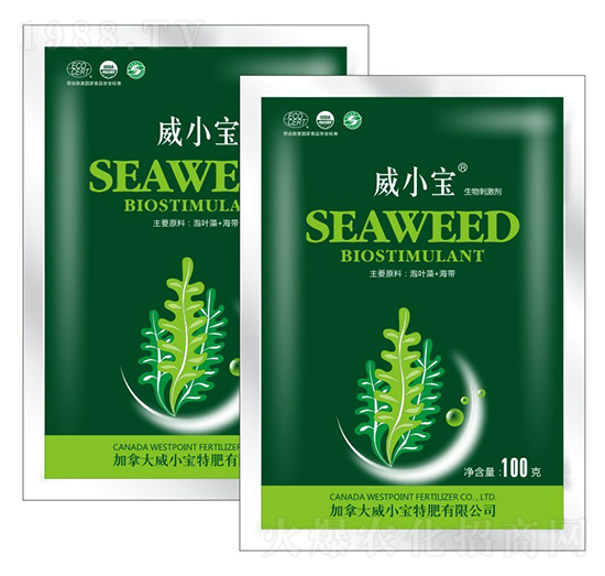 ����̼���-��С��-��巉�