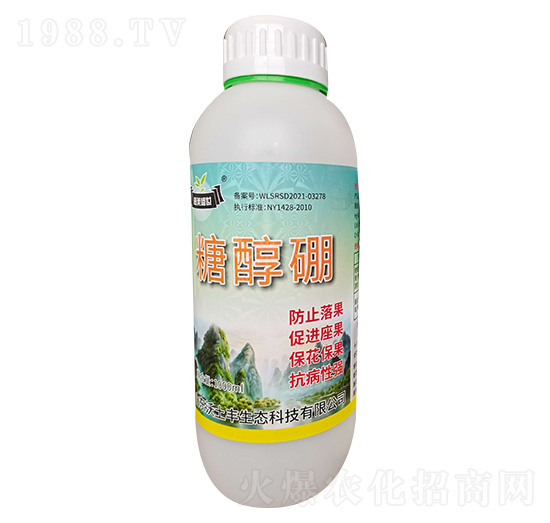 �Ǵ���-����ʢ��-�����S