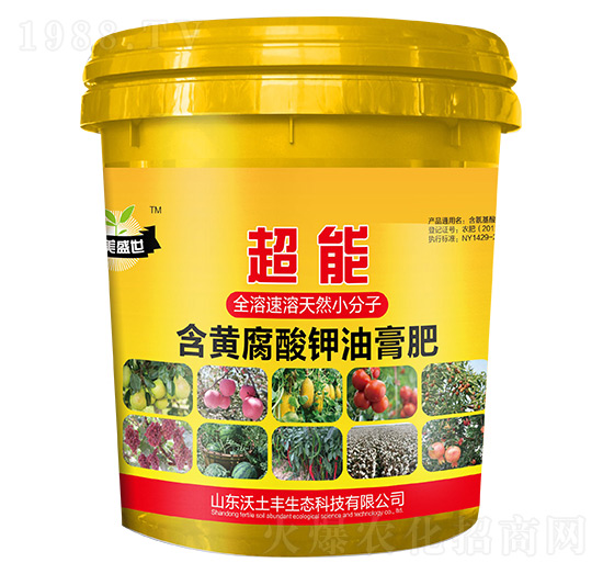 ���S������͸��-����-�����S