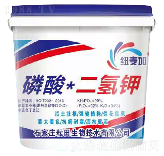 ��������-�~����-��������