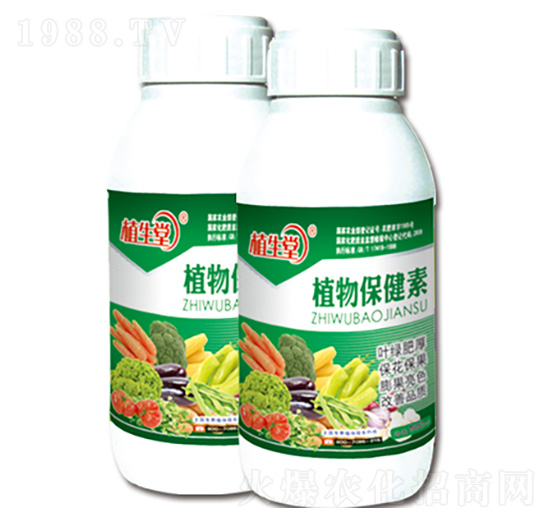 ֲ���� ֲ���� �R������