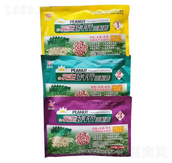 ������ǧ�������� ɏ����