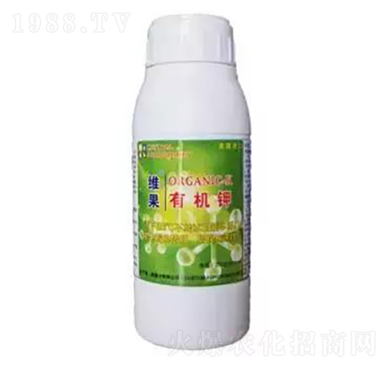 �S���ЙC(j��)� �S������