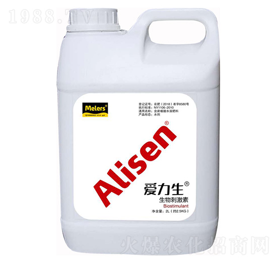 ����̼��� ������ ���Z��