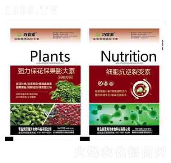 �����������������+����������׃�� ����