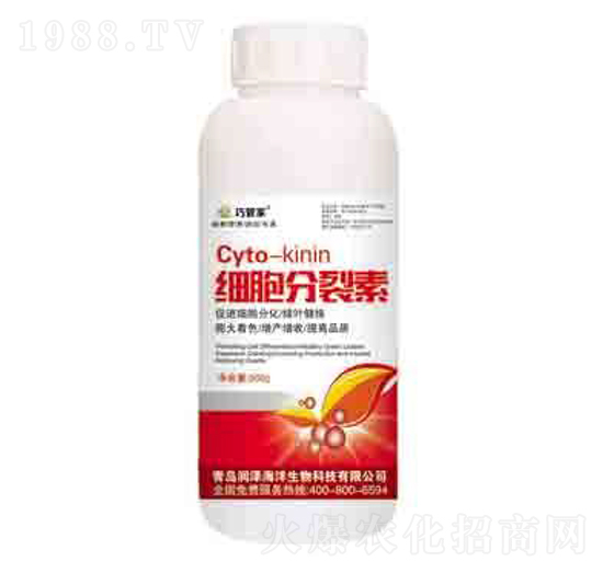 ���������� ����